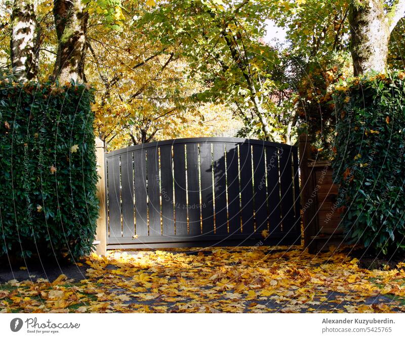 Gates and autumn trees in Vancouver, British Columbia, Canada gate gates fall nature leaves weather beautiful