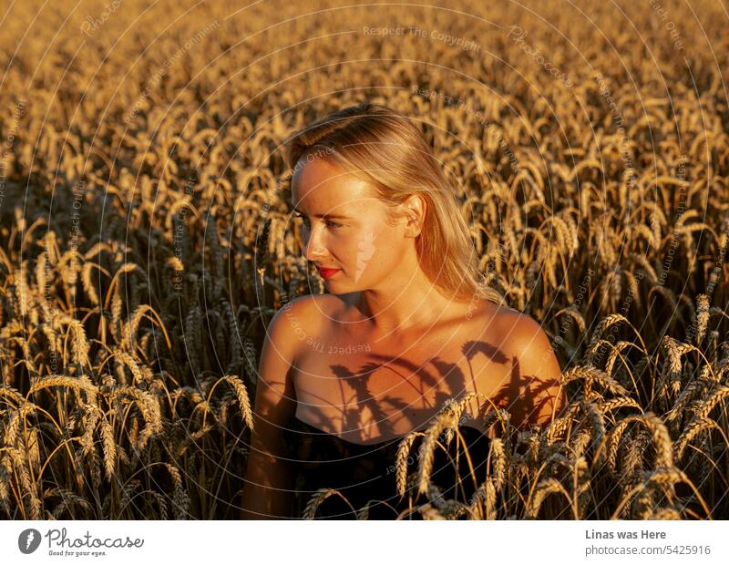 This golden wheat field is a comfy place for a gorgeous blonde girl. August evening light shines softly on her pretty face. Golden Hour is a great fit for this majestic portrait.