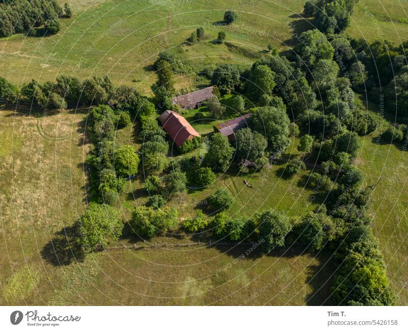 Farm from above UAV view Summer meadows Nature Meadow Landscape Grass Green Exterior shot Environment Tree Plant trees Deserted Colour photo Day naturally
