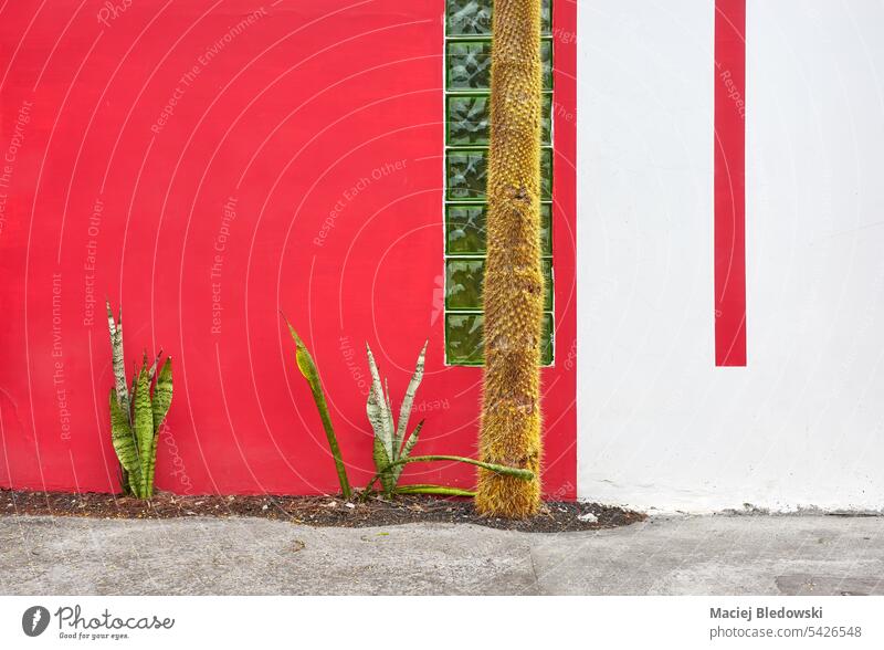 Street view of red and white building facade with cactus, architecture background, Ecuador. wall house street travel city town south america urban outdoors