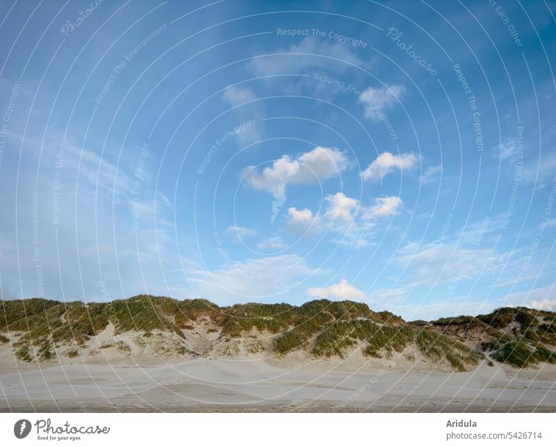 Clouds form a circle over a North Sea dune Circle duene Marram grass Grass Sand Beach Hill Landscape Vacation & Travel Nature Sky coast dunes North Sea coast