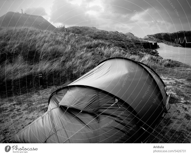 Tent in the sunrise in the dunes at the North Sea b/w grasses Sunrise camp Camping Nature Vacation & Travel Freedom Summer Relaxation Trip Tourism Sunlight