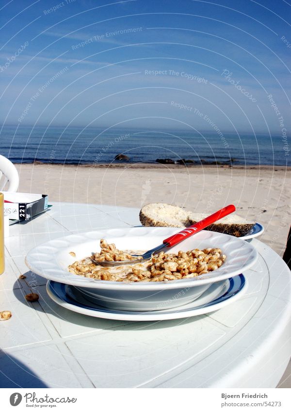 Breakfast by the sea Fresh Beach Ocean Vantage point Vacation & Travel White Nutrition Morning Sand Water conflakes Freedom Sky Blue
