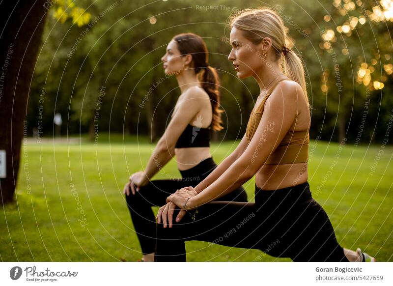 Two pretty young women stretching in the park active activity adult athletic attractive beautiful beauty calm exercise female fit fitness grass green health
