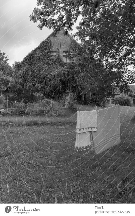 clothesline Farm bnw Summer Towels Exterior shot Deserted Day Black & white photo b/w Laundry Dry Washing day Hang Clean Hang up Photos of everyday life