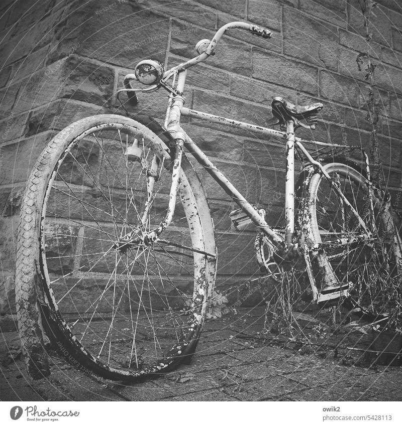 Removed from service Bicycle bikes discarded Invalided out Transience Forget Old Past Exterior shot Deserted Broken turned off across defective Stone wall Ajar