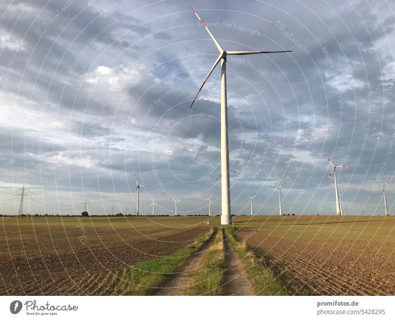 Wind turbines against a cloudy sky in an open field in Germany. Photo: Alexander Hauk wind power energy revolution Climate Climate change Climate protection