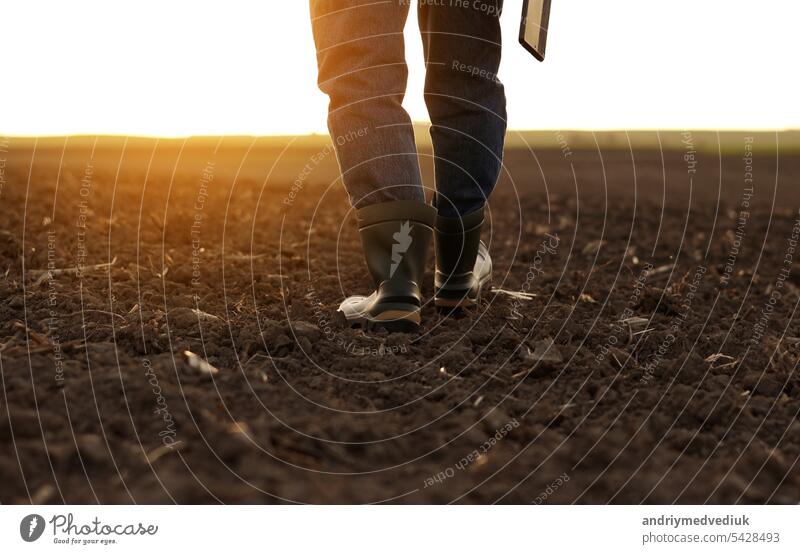 Agriculture. Cropped shot of back view businessman farmer in rubber boots walks along plowed field with digital tablet. Agronomist checking and analyses fertile soil on sunrise. Agribusiness.