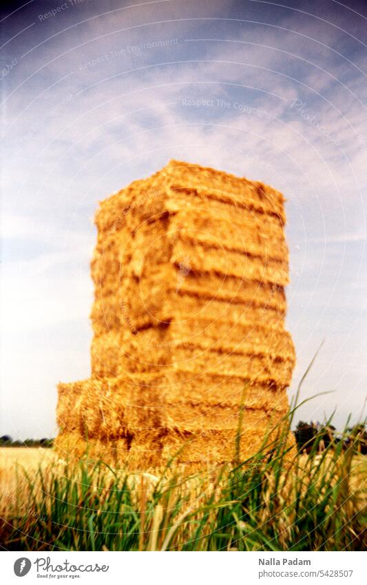 stacked straw Analog Analogue photo Colour LoFi Straw Tower Stack Tall Sky Grass Agriculture country Field Structure