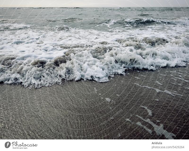 Churning waves crash on the beach Waves Ocean Foam meerschaum Beach North Sea North Sea coast Water Vacation & Travel Nature Landscape Dreary Gray stormy
