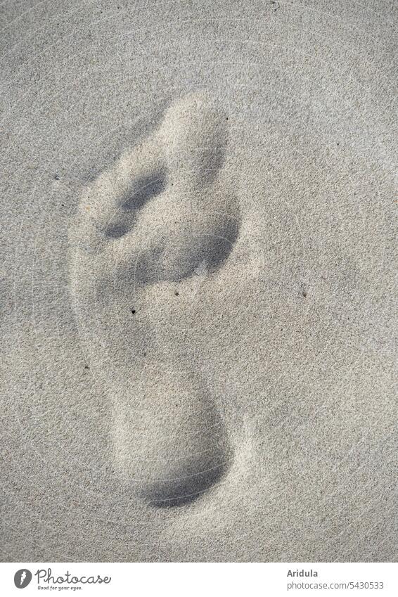 Footprint in sand footprint Sand Beach Barefoot Going Ocean Tracks Vacation & Travel Sandy beach Summer Summer vacation