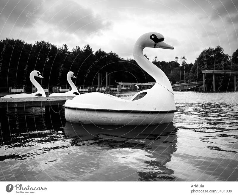 Swan family | pedal boats on bathing lake b/w Pedalo Water Lake bathe Swan boat Swimming & Bathing Float in the water Reflection Dark Dramatic End of summer