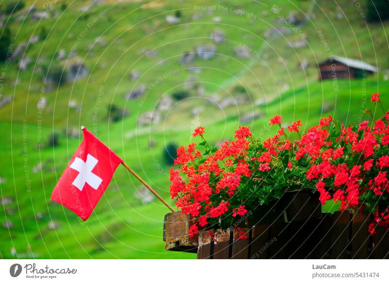 In Switzerland Ensign flag love of one's homeland Red Flag Geraniums Balcony Green in the mountains Pride Patriotism green background Hut