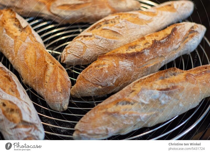 freshly baked crispy baguettes lie on a cooling grid Baguettes Crisp Crust Tradition Rustic Fresh Aromatic luscious tastily Surface Self-made Tasty