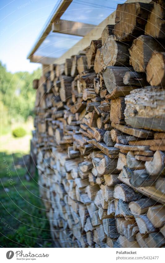 #A0# Wood - the main thing prepared... Stacking wood Stack of wood Dry storage Firewood Nature Tree Timber Forestry Cut Environment stacked Heap Logging Fuel