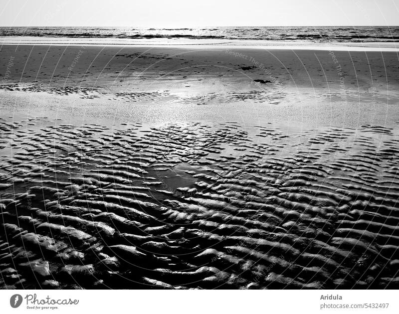 Sea tracks in sand on beach Beach Ocean North Sea Waves Tracks Sand coast Water Shadow Sun Back-light Pattern Structures and shapes Nature Vacation & Travel