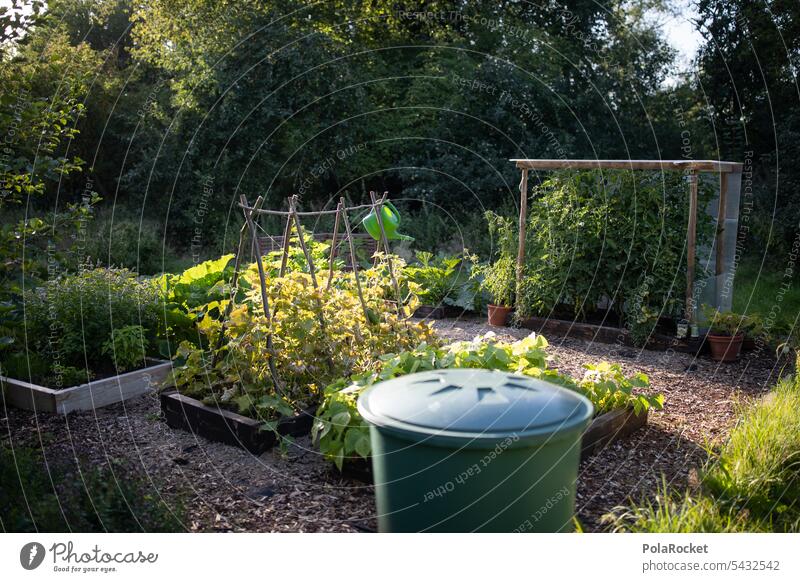 #A0# Garden delights Gardening Horticulture Garden plants allotment water barrel tomatoes Extend Organic produce Biology organic Organic farming prate