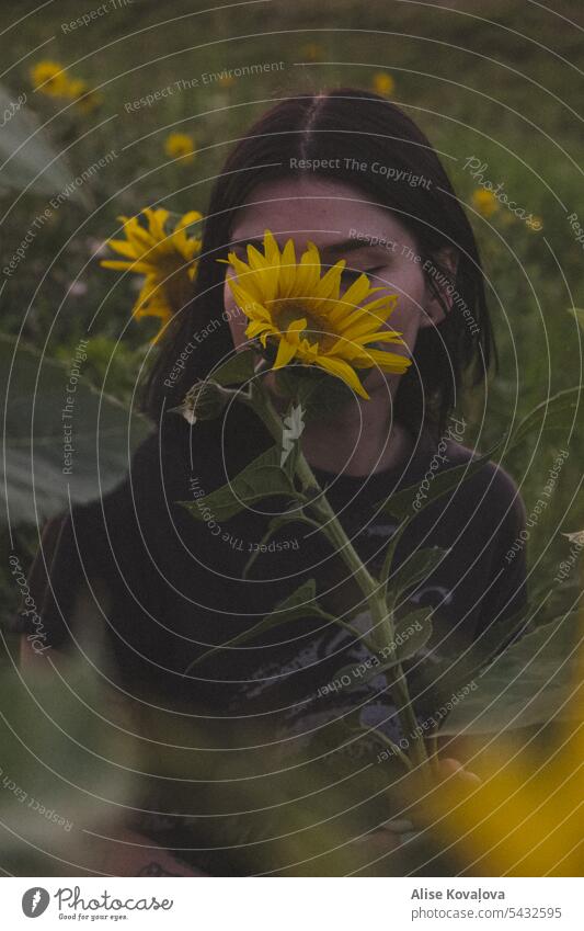 sunflowers and me Sunflower Sunset Green Yellow Nature Portrait photograph Self portrait Black Hair Colour photo field of sunflowers