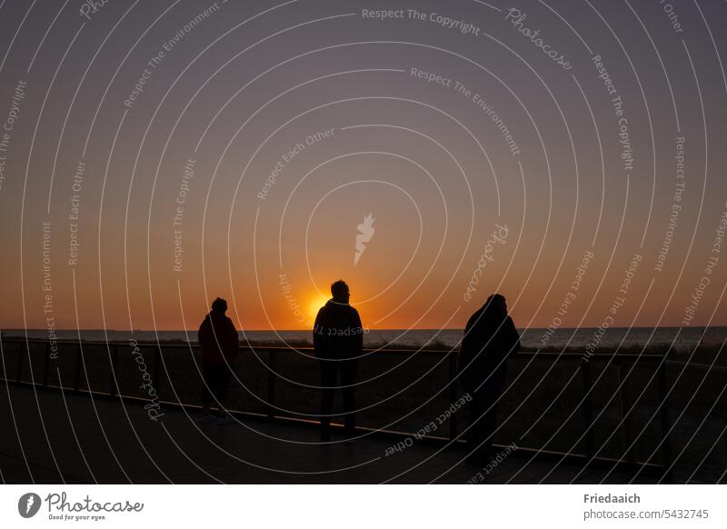 Silhouettes of people at sunset on the Baltic Sea Sunset Ocean Sky Evening Beach Water Horizon coast Landscape Nature Summer Sunlight Vacation & Travel Light