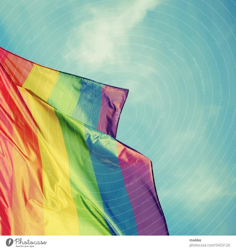 A rainbow in dry sunshine Rainbow Prismatic colors Flag Tolerant equality variety Equality Homosexual Self-Determination Act Freedom Symbols and metaphors