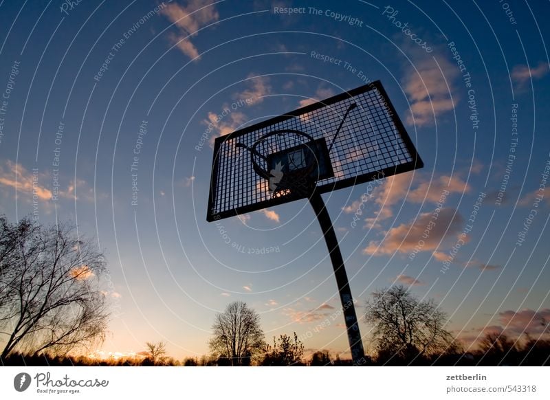basketball Evening Twilight Far-off places Sky Horizon Sun Sunset Clouds Playing Sports Basketball Ball sports Closing time Effortless Descent Go up