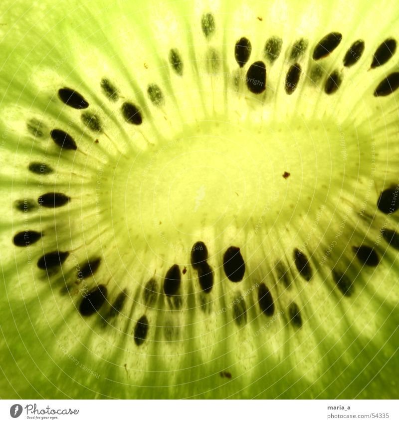 kiwi Kiwifruit Kernels & Pits & Stones Green Black Light Fruity Delicious Healthy Vitamin Juicy conducted through Lamp Bowl Cross-section Close-up