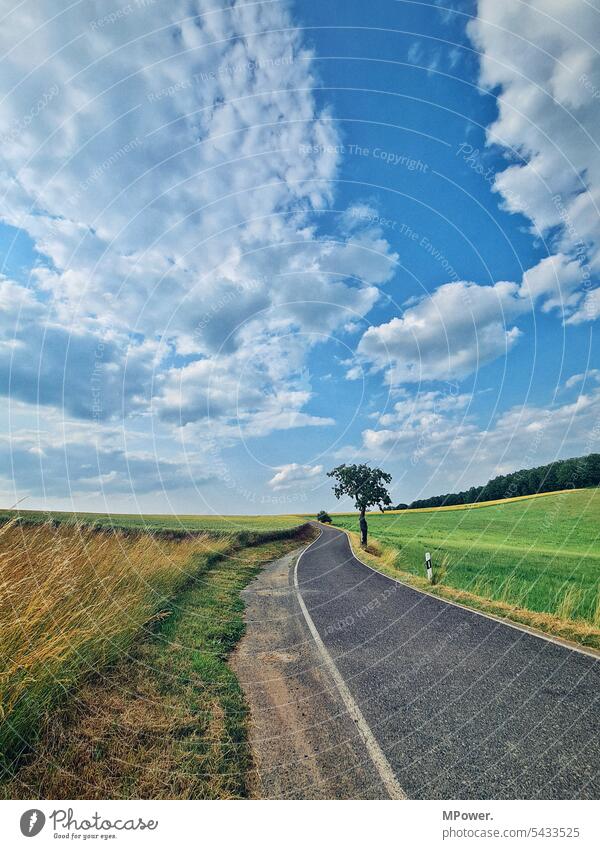 highway Country road Street Tree Field Sky Curved Summer Landscape Nature Lanes & trails Clouds Traffic infrastructure Exterior shot