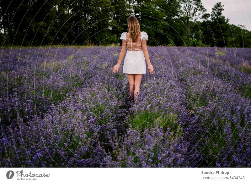 Girl standing in white dress in lavender field Lavender shoot portrait Blonde hair Dress white Hair and hairstyles Woman White pretty Human being