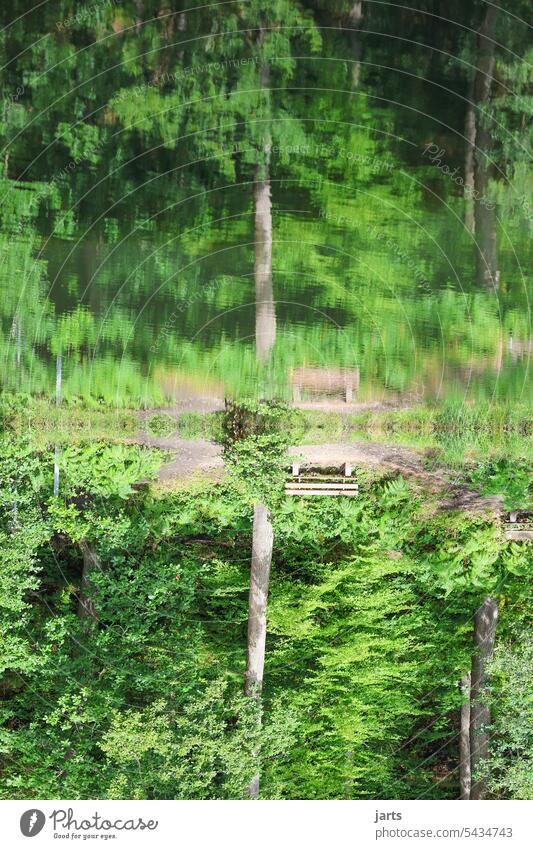 mirror image reflection Lake Water Surface of water Forest trees Bench tranquillity Idyll silent Calm Nature Reflection Peaceful Lakeside Water reflection