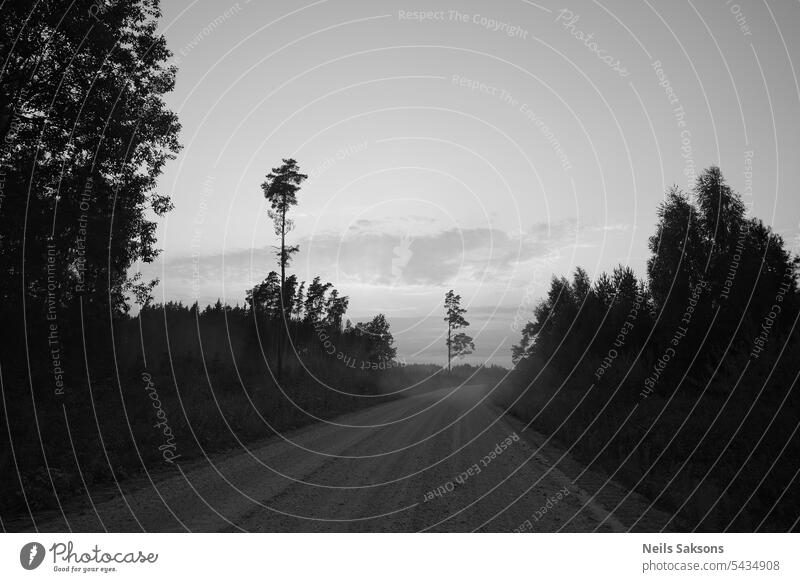 Latvia, country road through forest, single trees, summer evening in black and white asphalt beautiful clouds empty grass green landscape latvia meditation