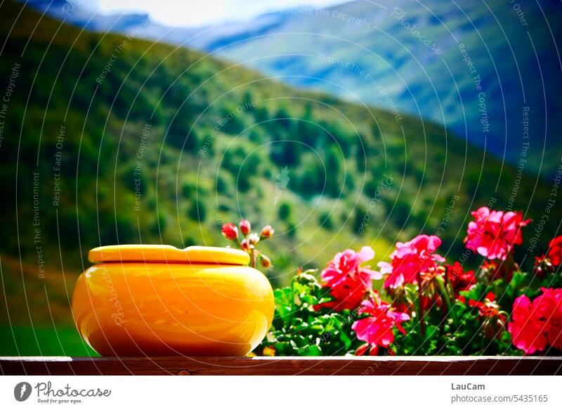 Alpine idyll - yellow ashtray and red geraniums in front of green mountain panorama Ashtray Yellow Geraniums Red Green Vantage point Summer flowers variegated