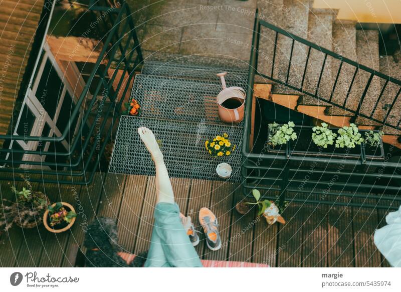 Relaxation in a house- courtyard Balcony Stairs Staircase (Hallway) Feet up Girl Dog Flowerpot Watering can Footwear Orange Exterior shot Window box