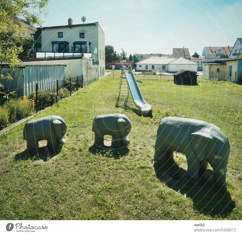 Elephant Playground out lawn Slide Elephants three Stand Wait houses Town Falkenberg Falkenberg/Elster Cloudless sky Copy Space top