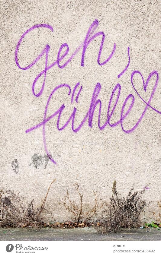 Go, feel with a heart is written in purple and in handwriting on a gray wall Emotions Going Heart Graffiti Handwriting Calligraphy sweetheart Wall (building)