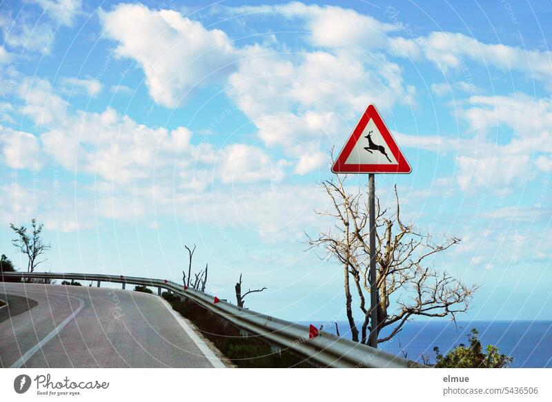 Curve of a coastal road with guardrail and road sign wildlife crossing on Elba Coastal road Road sign road bend Crash barrier danger spot Italy