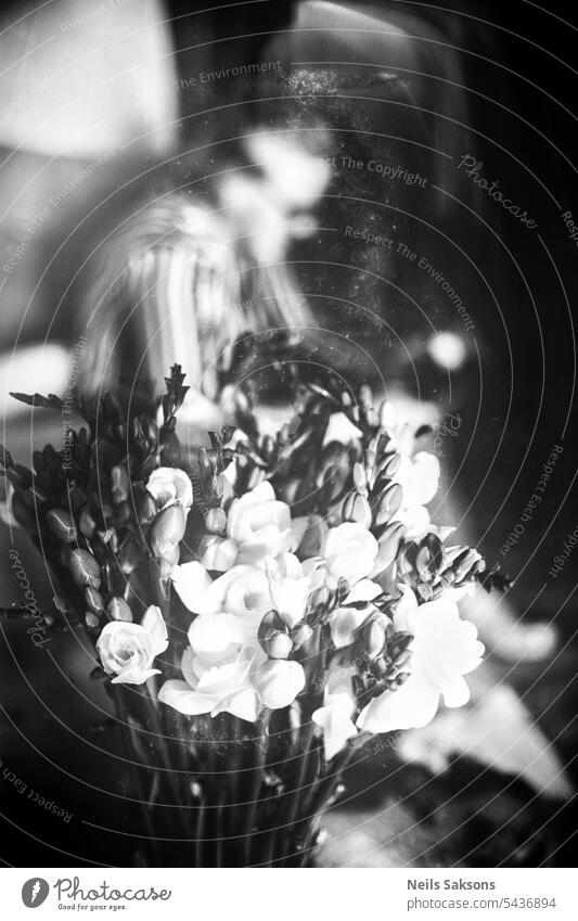 happy birthday flowers freesia blur monochrome black white bouquet of flowers person vase love sad dark bright