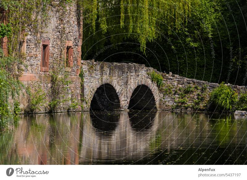 MainFux | even holes don't last forever Bridge old bridge Historic Pond reflection Water Reflection in the water Masonry old masonry Ruin Architecture Brick