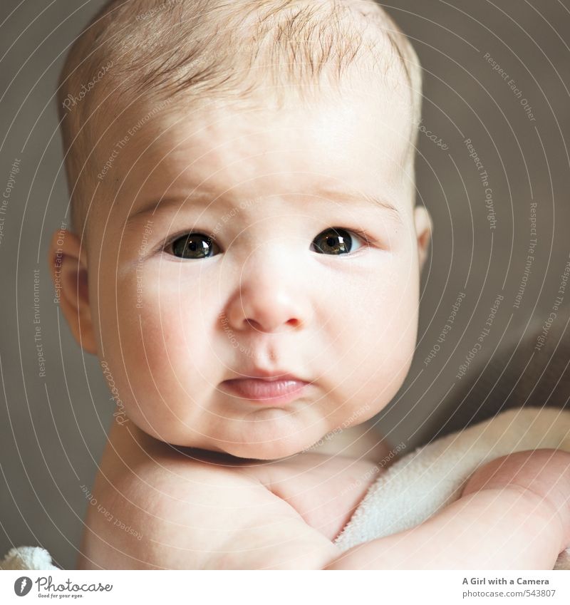 Hey baby Human being Baby Eyes 1 0 - 12 months Looking Beautiful Youth (Young adults) Soft Boy (child) Cute Subdued colour Interior shot Studio shot Flash photo