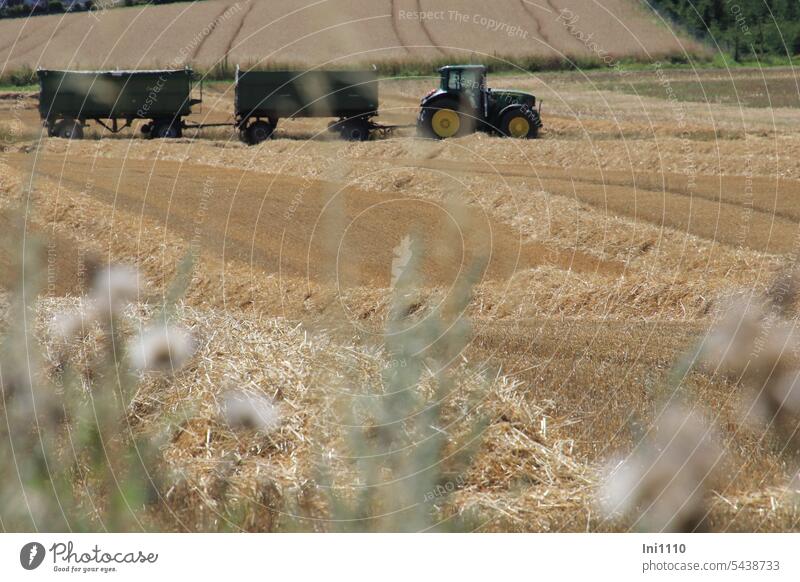 Grain Harvest Nature Landscape Agriculture fields harvest season Grain harvest Grain fields mow down mown harvested Straw Straw loose Straw in rows Tractor