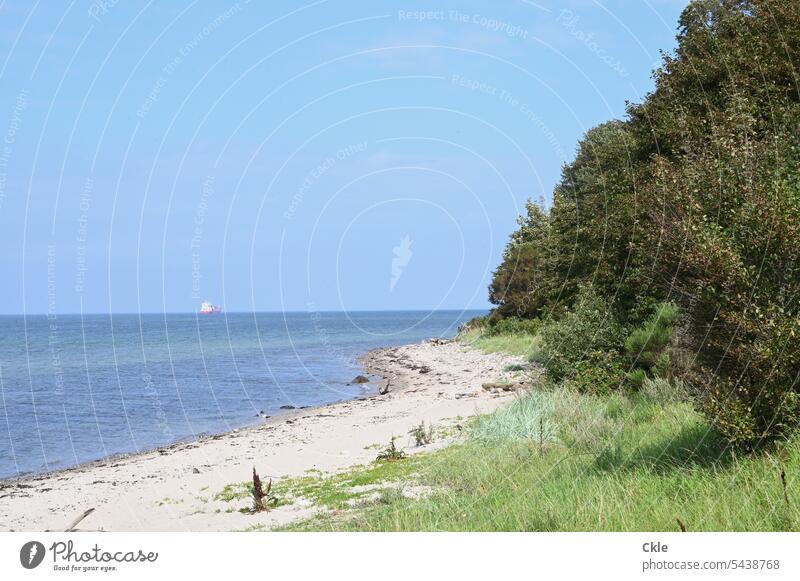 Ship moves away from lonely coast Beach Ocean ship Sky Water Clouds trees Røjle Klint stones Loneliness Wilderness Far-off places voyage Adventure Landscape