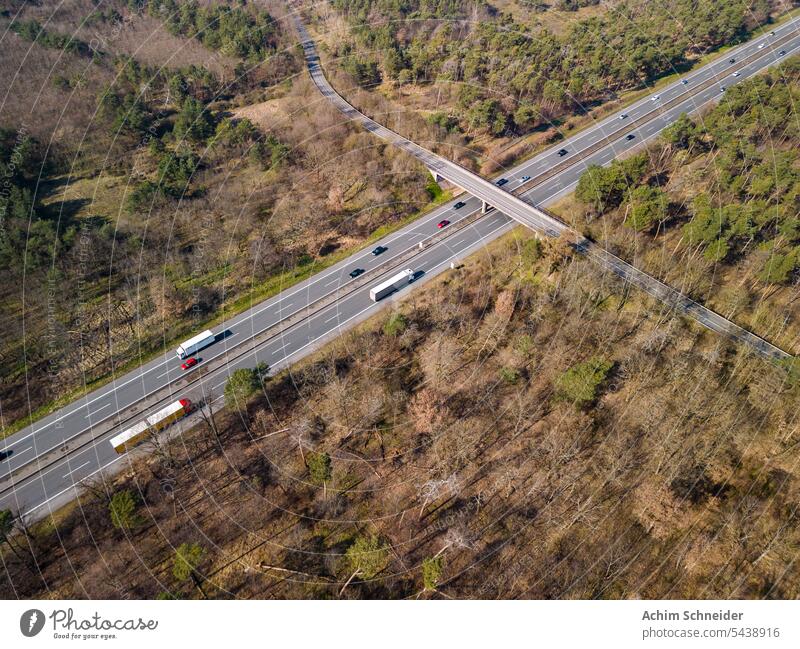 Sick and damaged trees in the forest on the A67 Autobahn near Darmstadt as an aerial photograph sick aerial shot carbon footprint bridge forest dieback traffic