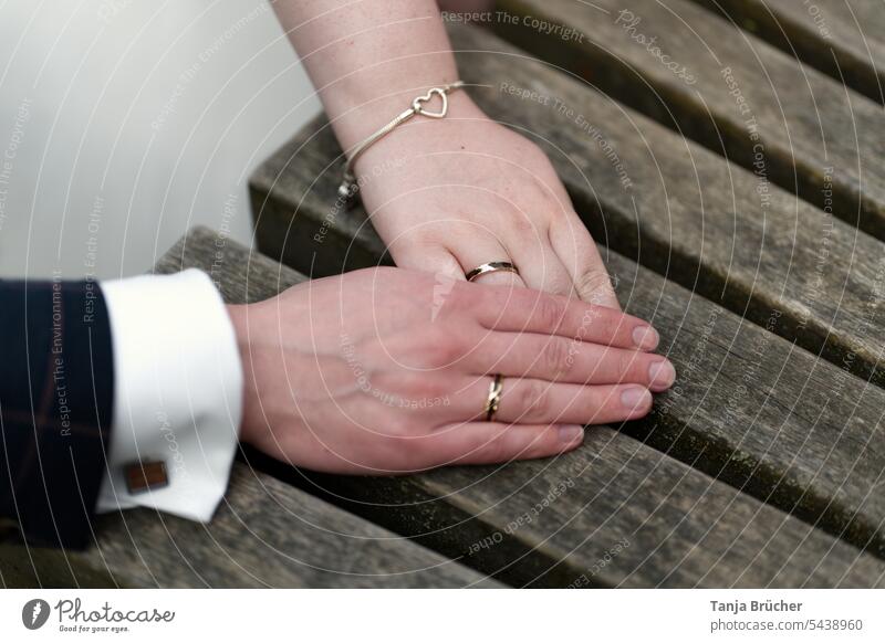 Hands of a wedding couple with rings on a wooden bench Wedding rings Rings bridal couple Bride and groom Married couple young couple marriage newly-married
