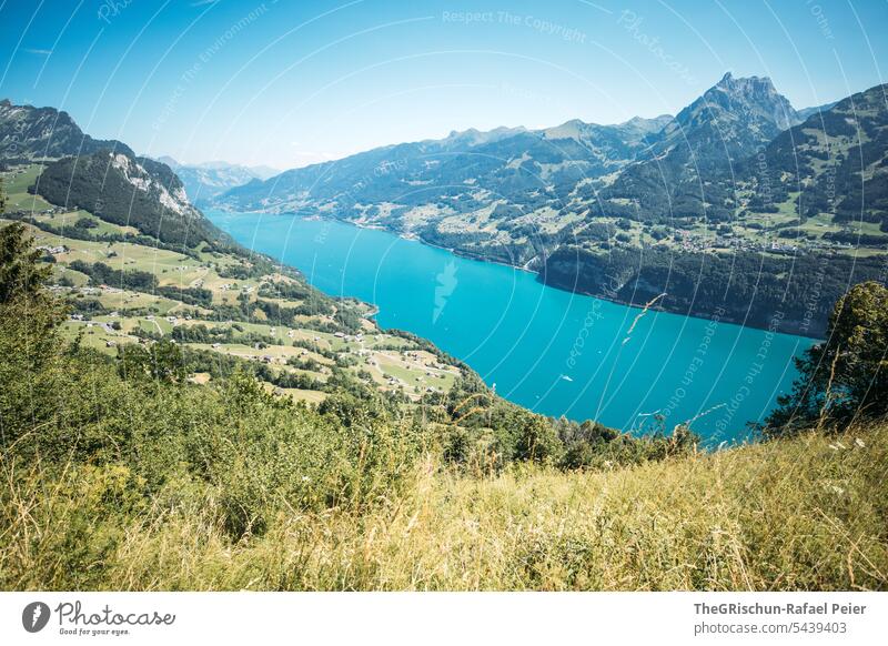 Meadow in front of turquoise colored lake Lake Turquoise Walensee Switzerland Tourism Sky Landscape Blue sky Mountain Nature Alps Vantage point hike