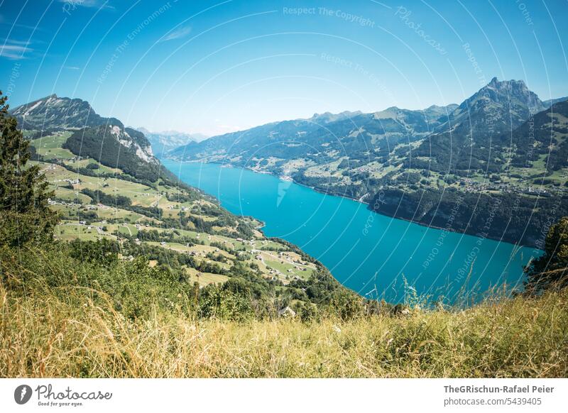 Meadow in front of turquoise colored lake Lake Turquoise Walensee Switzerland Tourism Sky Landscape Blue sky Mountain Nature Alps Vantage point hike