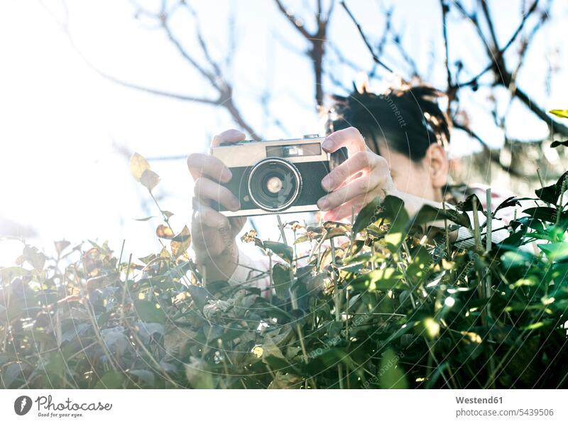 Woman shooting pictures over a hedge with an old camera caucasian caucasian ethnicity caucasian appearance european holding outdoors outdoor shots location shot