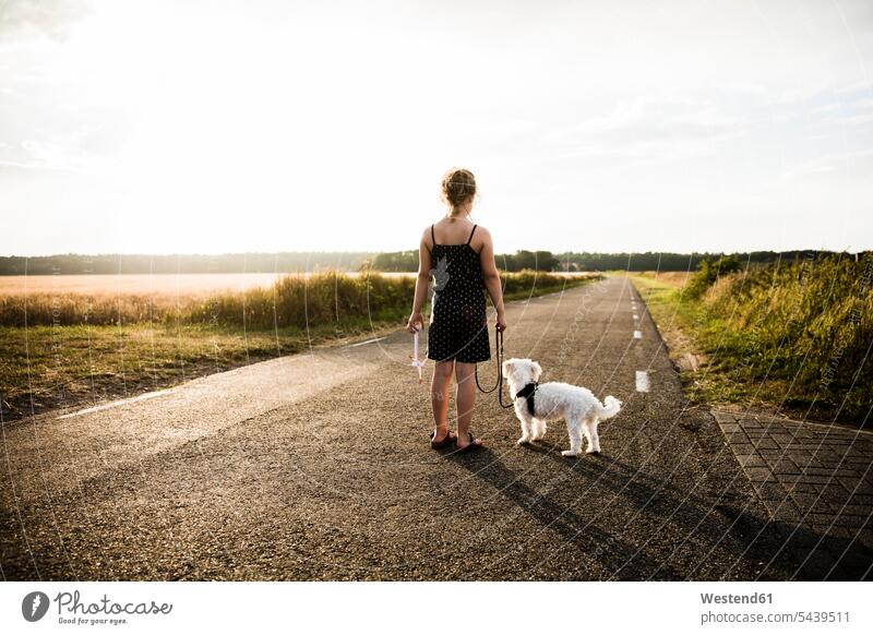 Girl with dog standing on rural road holding miniature wind turbine dogs Canine Field Fields farmland wind wheel windmills wind turbines wind wheels girl