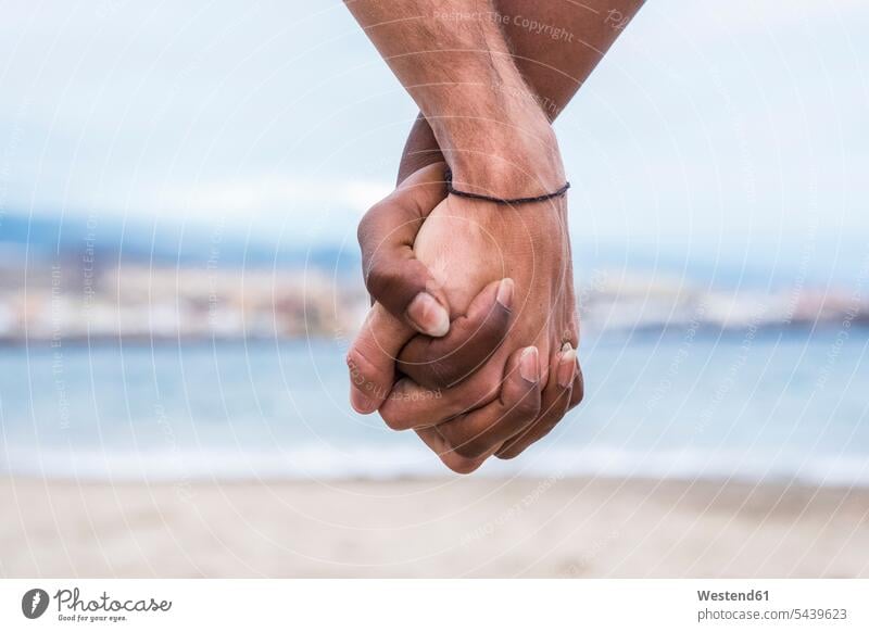 Close-up of two hands connected on the beach couple twosomes partnership couples beaches together human hand human hands Love loving people persons human being