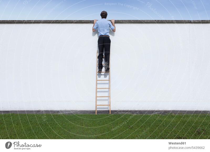 Business men with ladder on wall caucasian european caucasian ethnicity caucasian appearance business people businesspeople determination decided decidedness