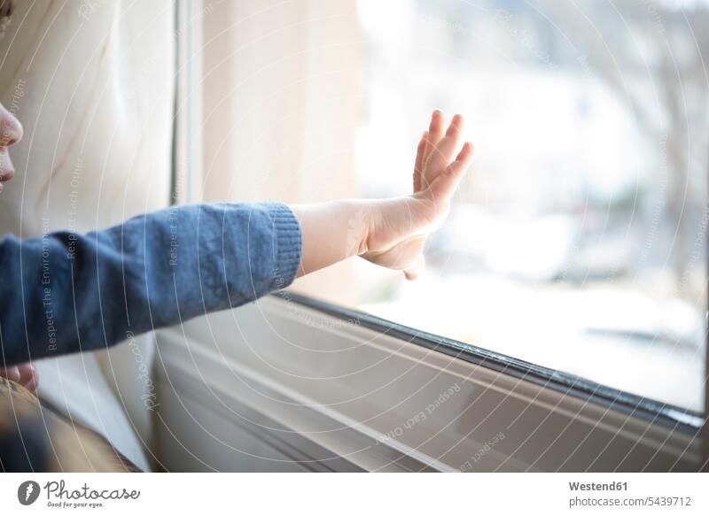 Hand of little boy touching windowpane caucasian caucasian ethnicity caucasian appearance european window glass window glasses windowpanes Window Pane