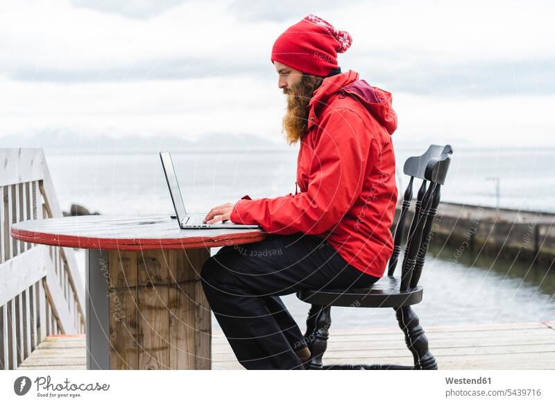 Iceland, North of Iceland, man sitting in front of the sea using laptop Laptop Computers laptops notebook men males Sea ocean Seated use computer computers